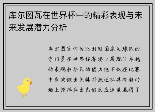 库尔图瓦在世界杯中的精彩表现与未来发展潜力分析
